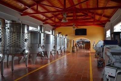 Wine production