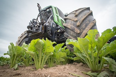 Agricoltura e agroalimentare